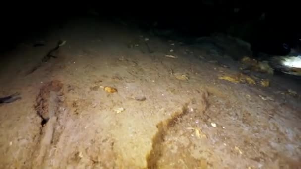 Cave diving in underwater caves of Yucatan Mexico cenotes. — Stock Video