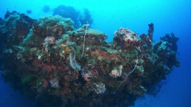 Chuuk Adaları 'ndaki Pasifik Okyanusu' nun dibindeki enkaz altında mercan.. — Stok video