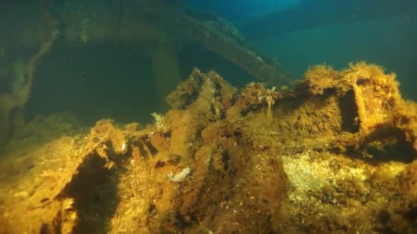 Épave à l'intérieur sous l'eau dans la lagune Truk.