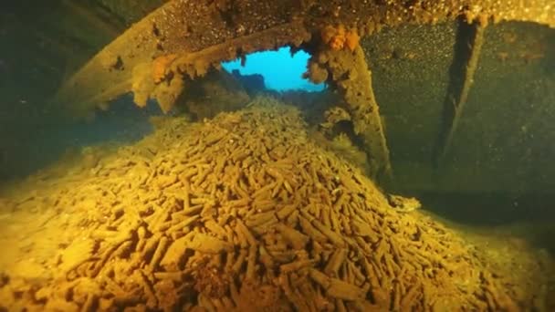 Wrack unter Wasser in der Lagune von Truk. — Stockvideo