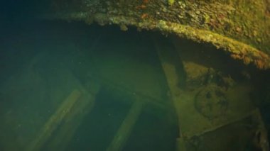 Truk Lagoon 'da sualtı enkazı.