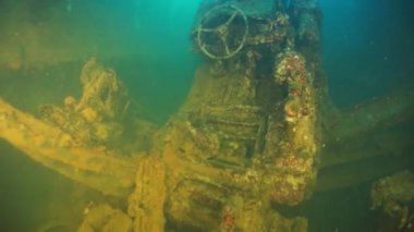 Chuuk Adaları 'ndaki Truk Lagoon' da enkaz altında paslı metal tarihi retro arabalar..