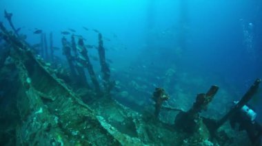 Chuuk Adaları 'ndaki Pasifik Okyanusu' nun dibindeki enkaz altında dalgıç..