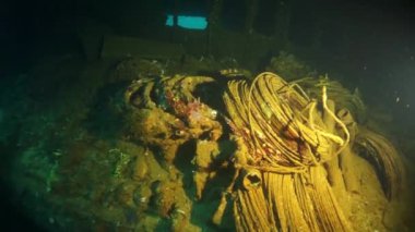 Chuuk Adaları 'ndaki Pasifik Okyanusu' nun altında batık bir geminin içine dalan dalgıç..