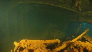 Chuuk Adaları 'ndaki Truk Lagoon' da enkaz altında geri dönüş yapan araçlar..