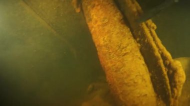 Chuuk Adaları 'ndaki Truk Gölü' nde batık bir gemi var..