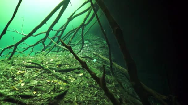 Grot duiken in onderwater grotten van Yucatan Mexico cenotes. — Stockvideo