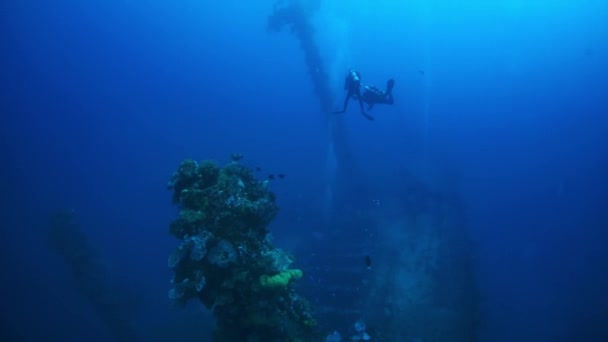 Wreck menyelam di dunia bawah air dari Kepulauan Truk . — Stok Video