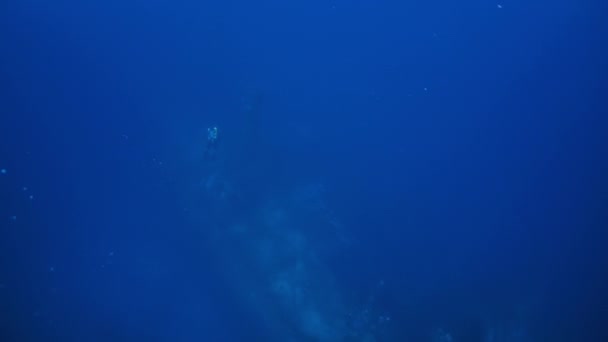 Kapal karam di bawah air di dasar laut Samudera Pasifik . — Stok Video