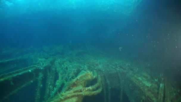 Ship wreck in underwater world of Truk Islands. — Stock Video