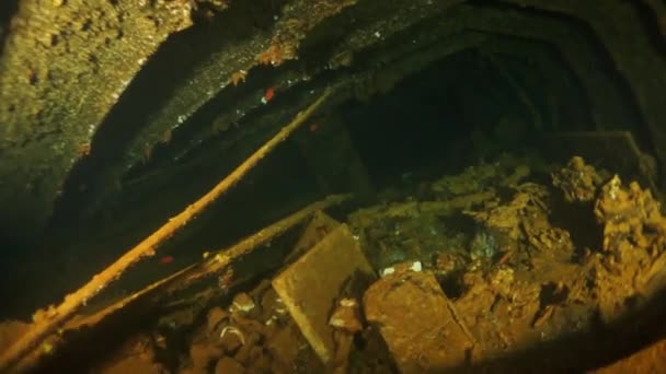 Nave hundida en vista interior en naufragio bajo el agua en la laguna de Truk en las Islas Chuuk . — Vídeos de Stock