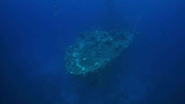 Ναυάγιο καταδύσεις στον υποβρύχιο κόσμο των Νήσων Truk. — Αρχείο Βίντεο