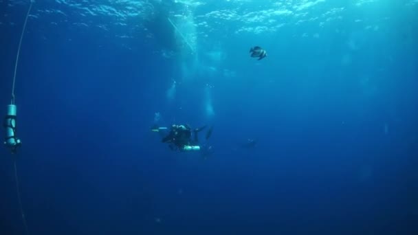 Прыжки с трамплина в подводный мир Трукских островов. — стоковое видео