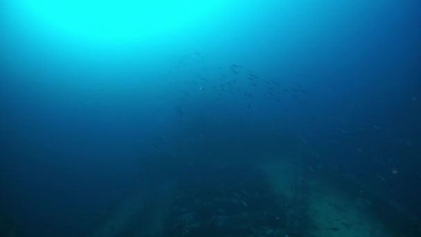 Naufrage dans le monde sous-marin des îles Truk . — Video