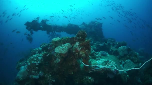 Боевая пушка затонувшего корабля, затонувшего на подводных островах Трук. — стоковое видео