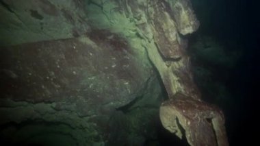 Yucatan Meksika 'nın sualtı mağaralarına dalış yapıyorlar..