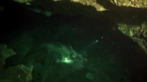 水中洞窟ユカタンメキシコの岩のダイバーが注目します. — ストック動画
