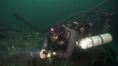 Yucatan Meksika 'nın sualtı mağaralarına dalış yapıyorlar..