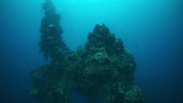 Corals and fish on sunken ship wreck in underwater Truk Islands. — Stock Video