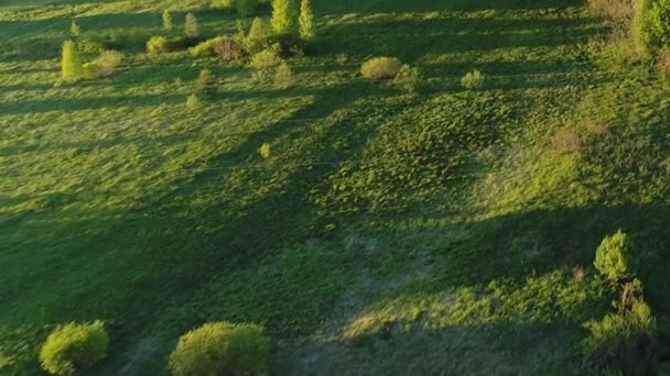 Increíbles imágenes de vídeo del río pantano rodeado de un denso bosque verde con impresionantes vistas al paisaje cinematográfico. Concepto clima naturaleza al aire libre . — Vídeos de Stock