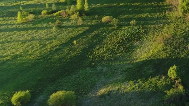 Images vidéo étonnantes de la rivière marécageuse entourée d'une forêt verte dense avec une vue imprenable sur le paysage cinématographique. Concept climat nature nature .