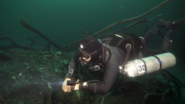 Buceo en cuevas submarinas de Yucatán México cenotes. — Vídeos de Stock