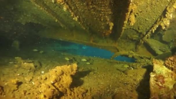 Ztroskotání pod vodou Tichého oceánu na ostrovech Chuuk. — Stock video