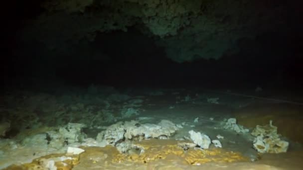 Yucatan Meksika 'nın sualtı mağaralarına dalış yapıyorlar.. — Stok video