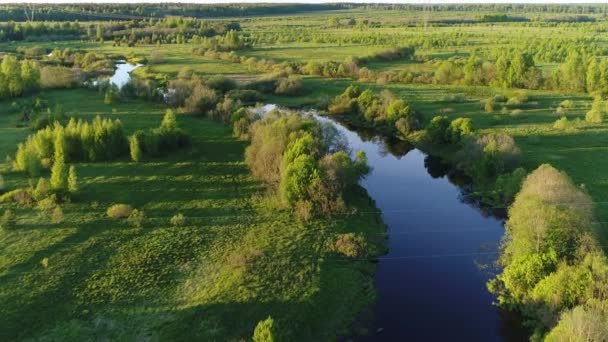 Filmagem de vídeo incrível de rio da floresta com transparente cheio de água doce cercado por campo verde com vistas deslumbrantes da paisagem cinematográfica. Conceito clima natureza exterior . — Vídeo de Stock