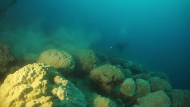 Round coral on sunken ship wreck in underwater Truk Islands. — ストック動画