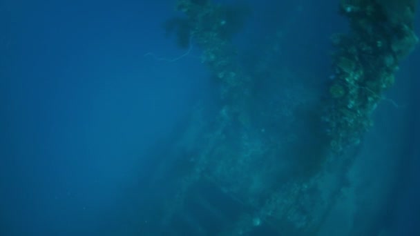 Mast of shipwreck in underwater world of Truk Islands. — Stock Video