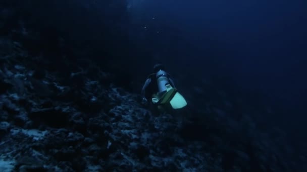 Potápění se školou ryb jednoho druhu a potápěč v podmořském oceánu. — Stock video