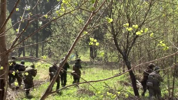 Οι παίκτες του airsoft τρέχουν μέσα από το δάσος — Αρχείο Βίντεο