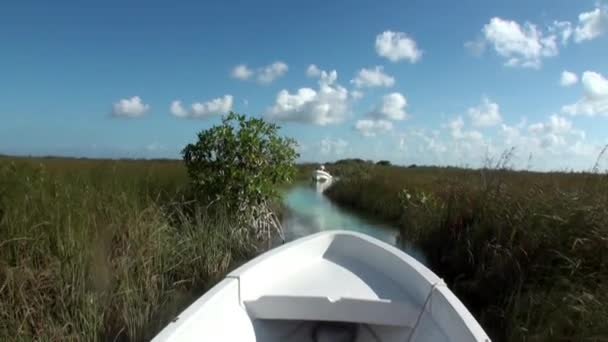 Zwiedzanie łodzi Playa Del Carmen Yucatan Quintana roo Meksyk. — Wideo stockowe