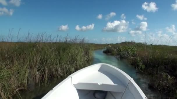 Neuseenzame witte boot drijvend op rivier tussen riet. — Stockvideo