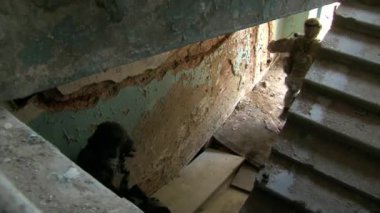 Silah ile askeri üniformalı askerler yok eve yürümek