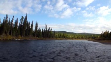 Sibirya Rusya 'nın ıssız taygasında Lena Nehri' nin güzel doğası..