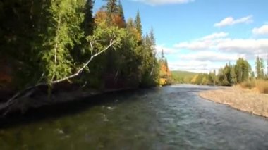 Sibirya Rusya 'nın ıssız taygasında Lena Nehri' nin güzel doğası..