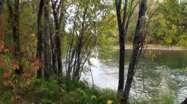 Sibirya 'daki Lena Nehri.