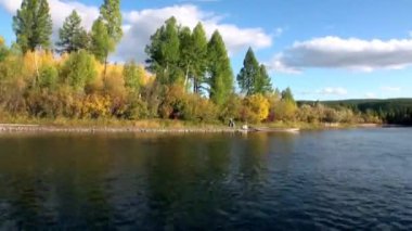 Sibirya Rusya 'nın ıssız taygasında Lena Nehri kıyısındaki ağaçlar..