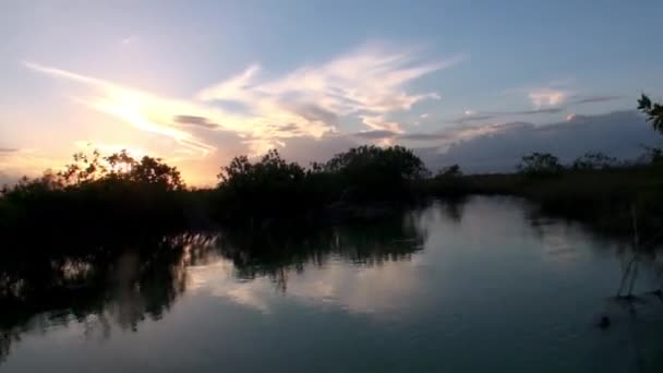Soirée Réserve de biosphère Riviera Maya Quintana Roo Mexique .