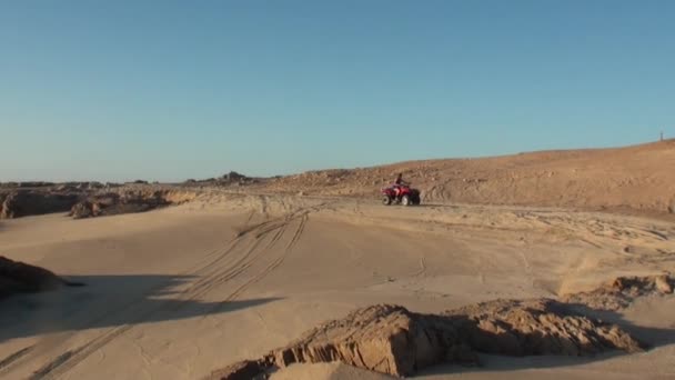 Menina no passeio de quadriciclo ATV na praia arenosa . — Vídeo de Stock