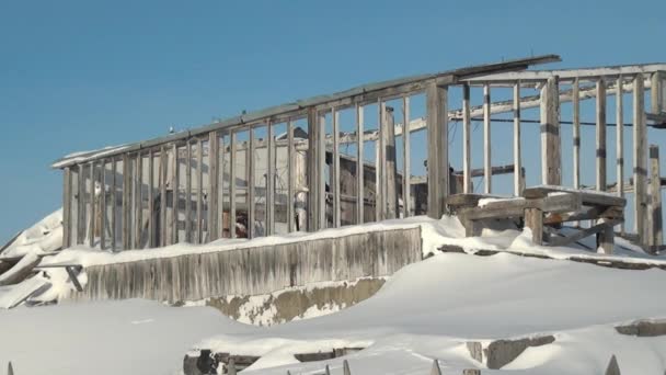 Ruins snow abandoned city Coal Mines on Chukotka of far north of Russia. — Stock Video