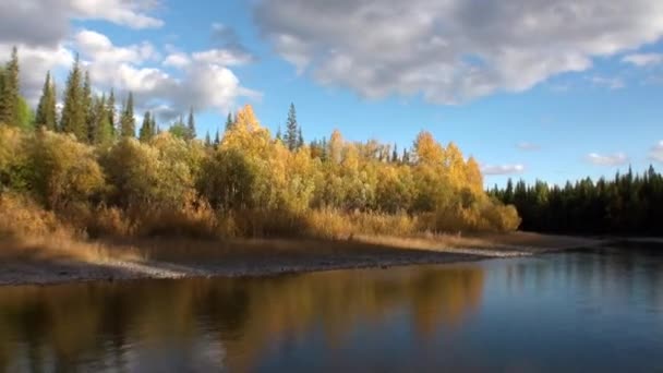 Belle nature de la rivière Lena dans la taïga inhabitée de la Sibérie Russie . — Video