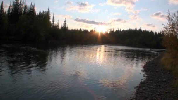 Prachtige natuur van Lena Rivier in onbewoonde taiga van Siberië Rusland. — Stockvideo