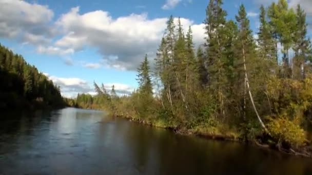 Bela natureza com árvores amarelas e nuvens no céu do rio Lena, na Sibéria . — Vídeo de Stock