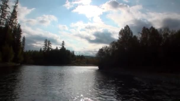 Rivière dans la taïga inhabitée de Sibérie Russie .