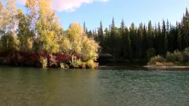 Чудовий характер річки Олени в незаселеній тайзі Сибіру Росії. — стокове відео