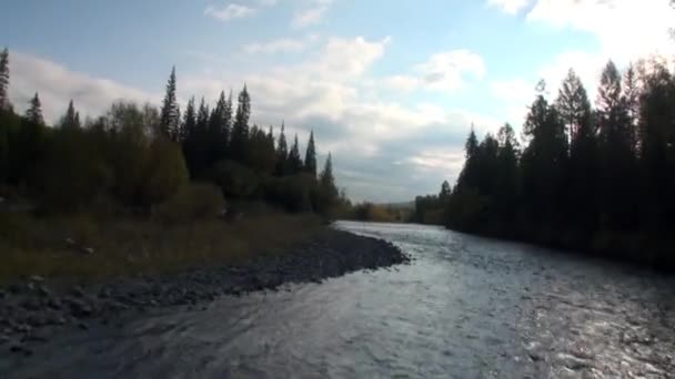 Rivier in onbewoonde taiga van Siberië Rusland. — Stockvideo