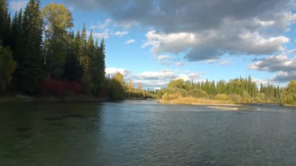 俄罗斯西伯利亚泰加无人居住的Lena河的美丽自然. — 图库视频影像